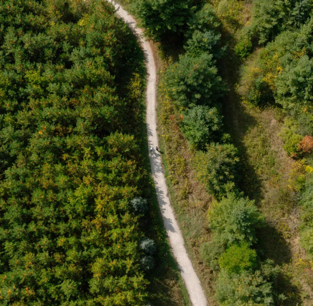 Trail aeriel view